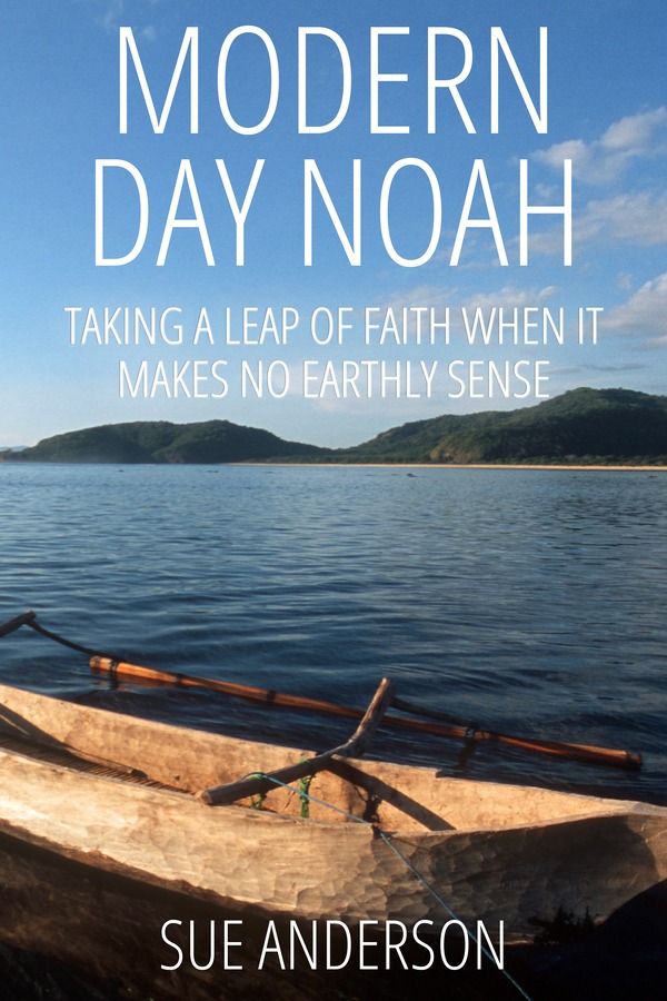 Book cover of Modern Day Noah: an empty wooden boat on a lake in the foreground, with green hills and blue sky in the distance.